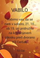 KOSTANJEV PIKNIK TD “CER” CERŠAK